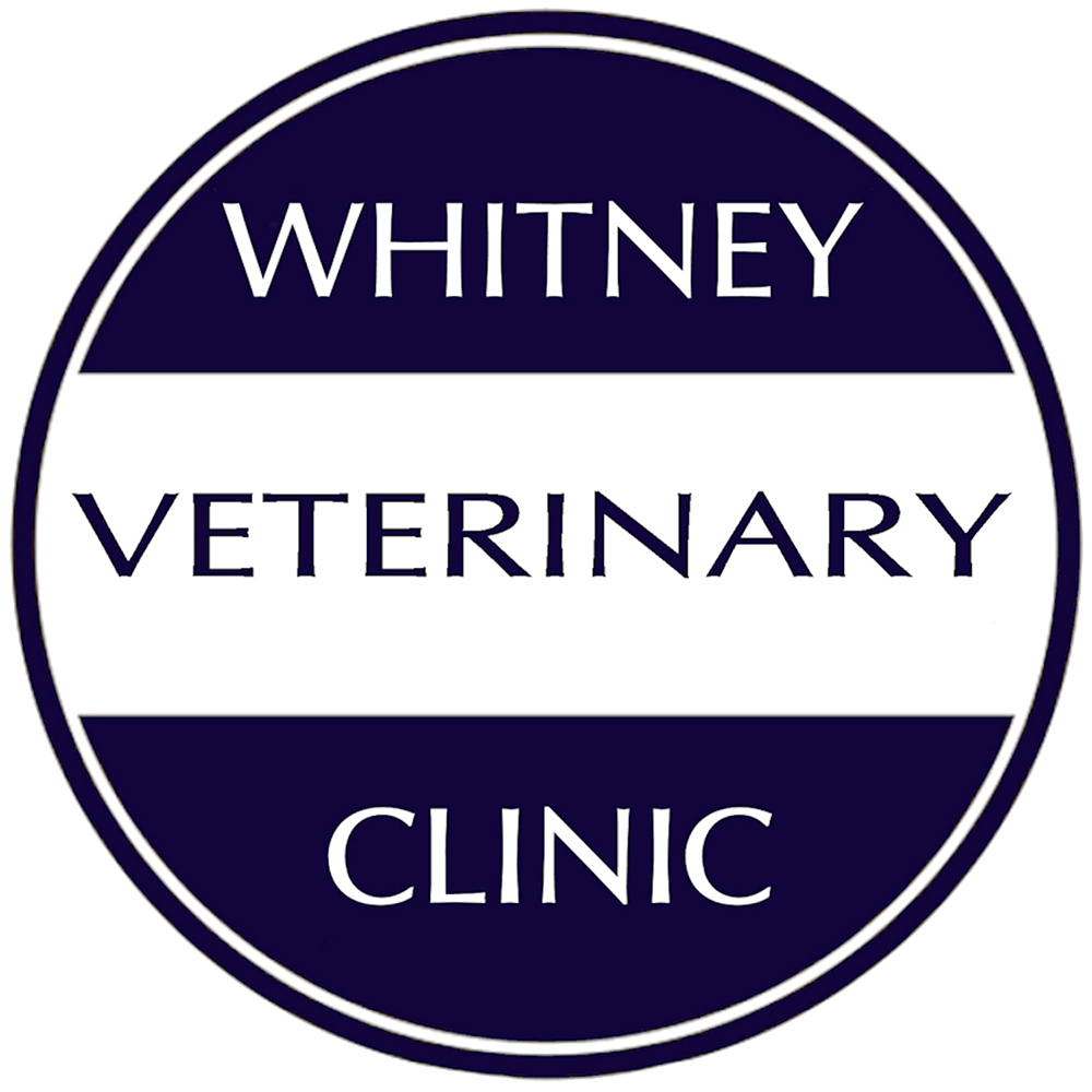 Whitney Veterinary Clinic favicon