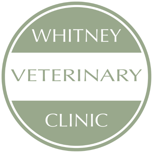 Whitney Veterinary Clinic- updated fav icon